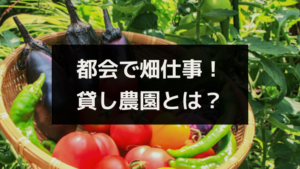 よくある貸し農園トラブル３選 トラブル回避のためにできることは ワタリドリブログ