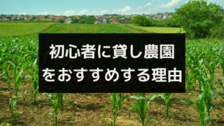 よくある貸し農園トラブル３選 トラブル回避のためにできることは ワタリドリブログ